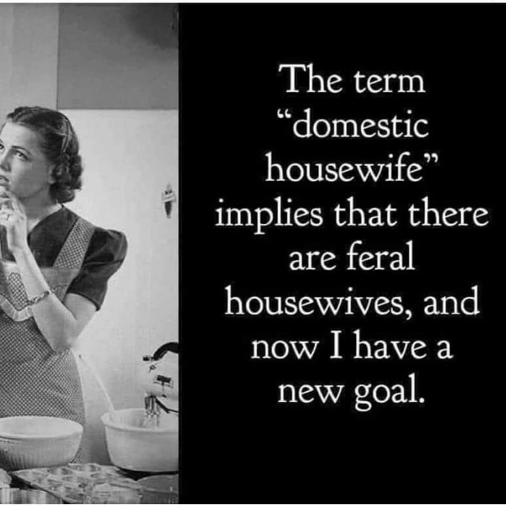 Meet your Posher, Ali